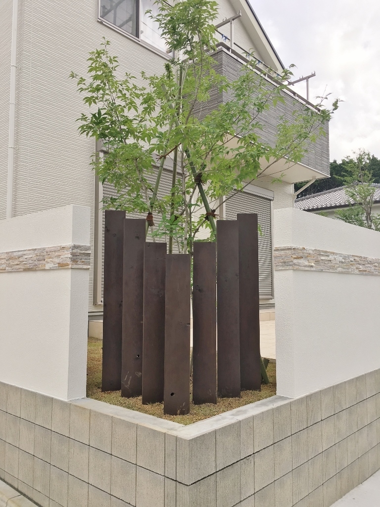 オススメのシンボルツリー ヨコハマリード 横浜市瀬谷区